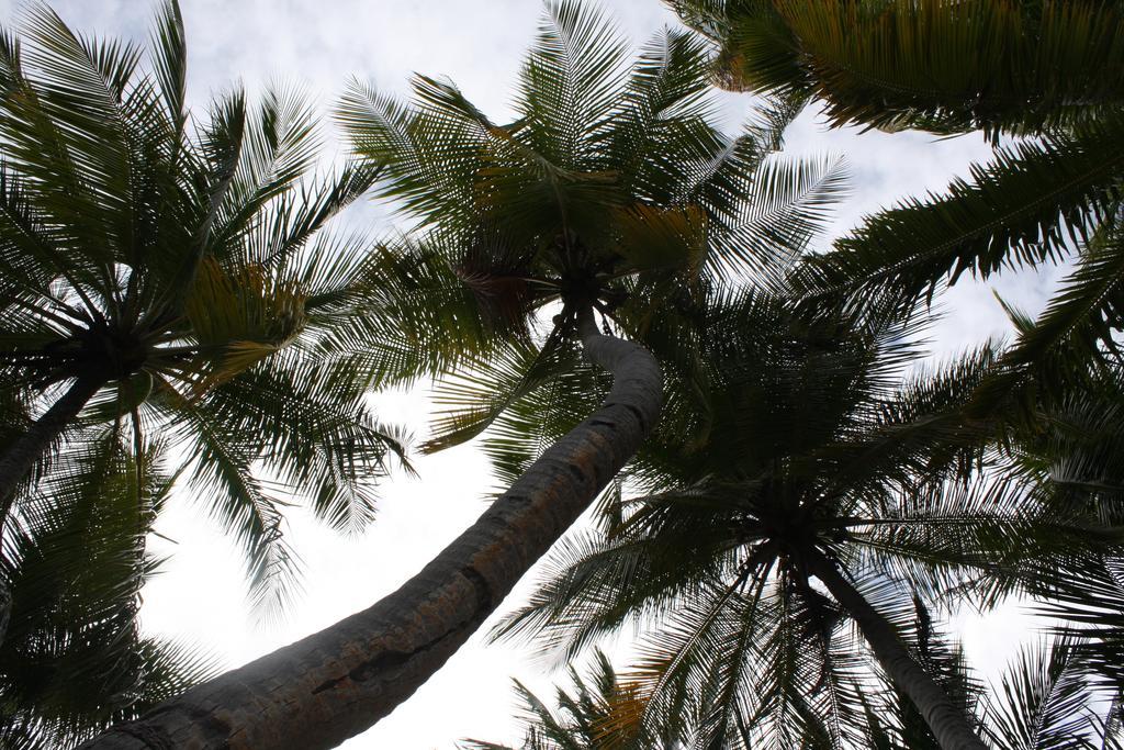 Hudhu Raakani Lodge Maldives Thinadhoo  ภายนอก รูปภาพ