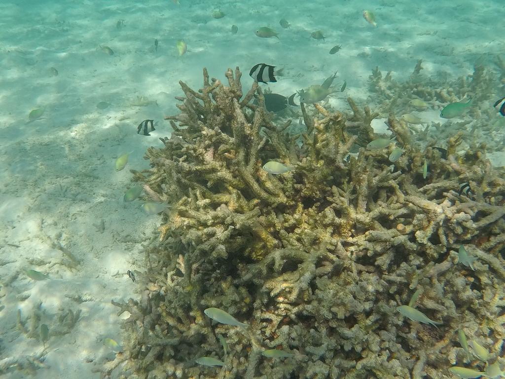 Hudhu Raakani Lodge Maldives Thinadhoo  ภายนอก รูปภาพ