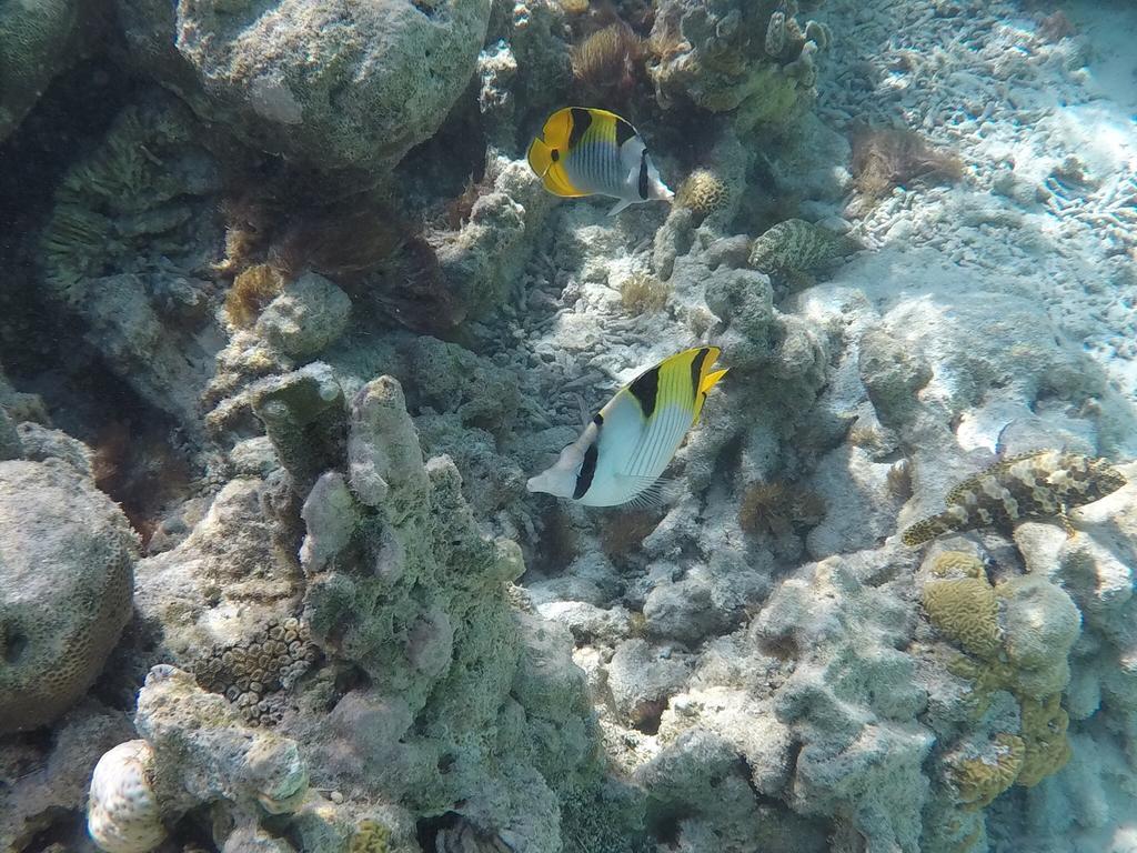 Hudhu Raakani Lodge Maldives Thinadhoo  ภายนอก รูปภาพ