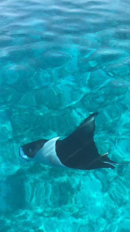 Hudhu Raakani Lodge Maldives Thinadhoo  ภายนอก รูปภาพ